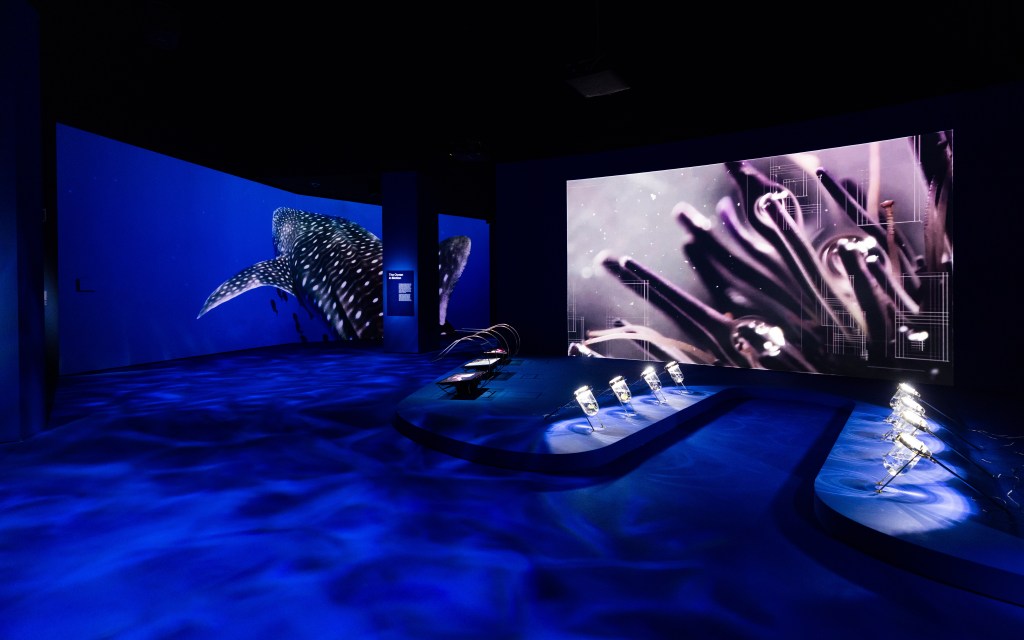 A Deep Dive Into Saving The Ocean With&nbsp;OceanX